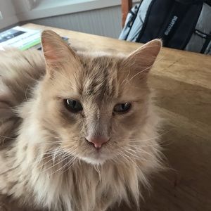 Meet your Posher, Avery